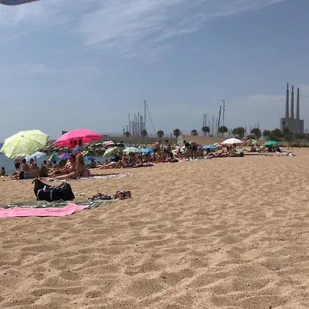 Tekne Dado De Baja Badalona