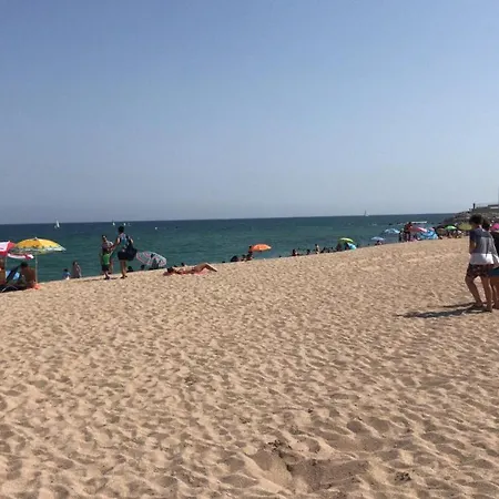 Tekne Dado De Baja *