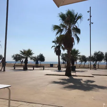 Tekne Dado De Baja