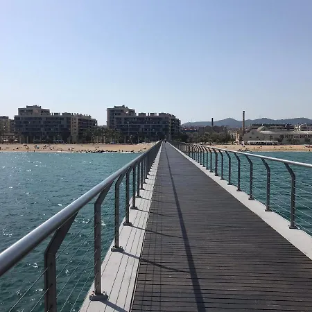 Tekne Dado De Baja Badalona