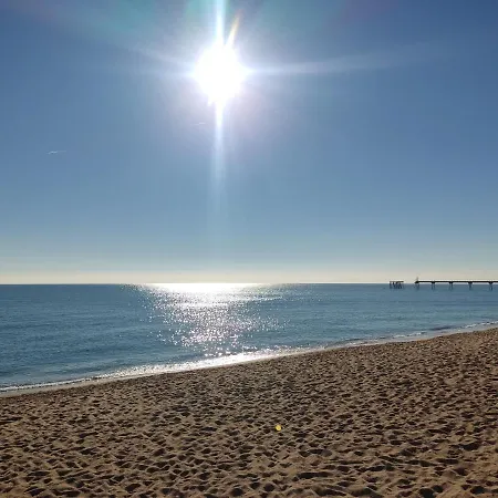 Dado De Baja Badalona