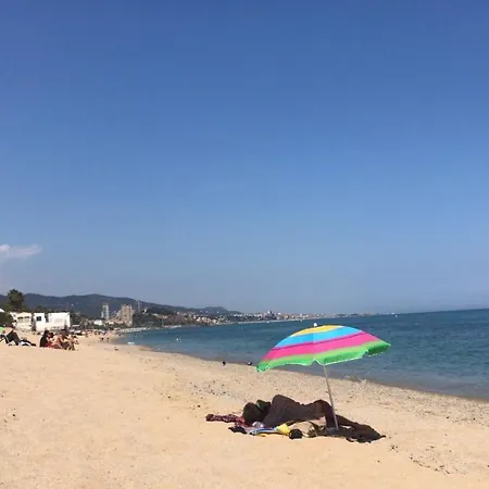 Dado De Baja