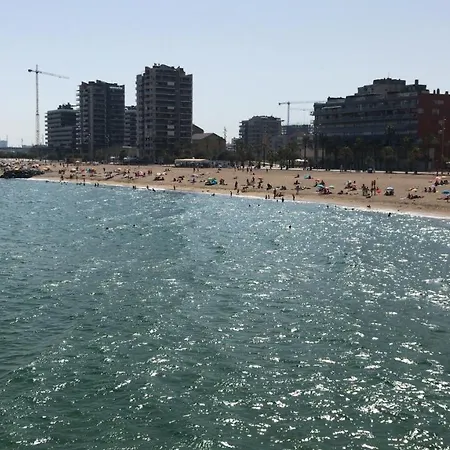 Dado De Baja Tekne