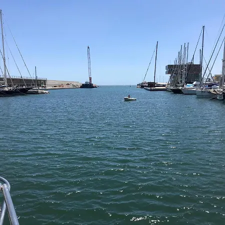 Dado De Baja 바달로나